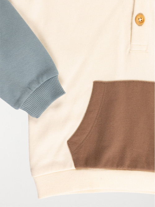 Sweat capuche tricolore...