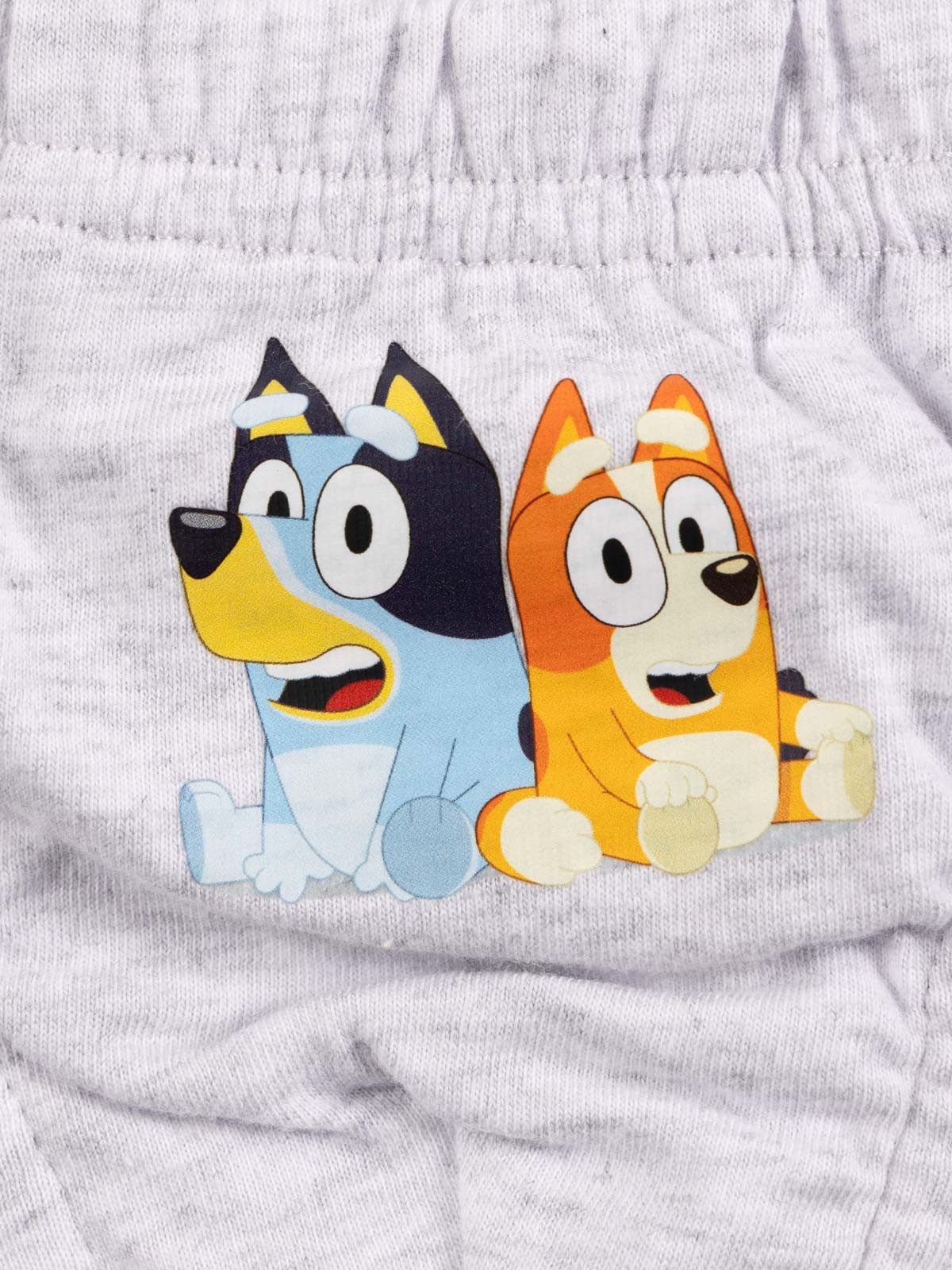 Lot de 3 slips Bluey garçon Lot de 3 slips Bluey garçon