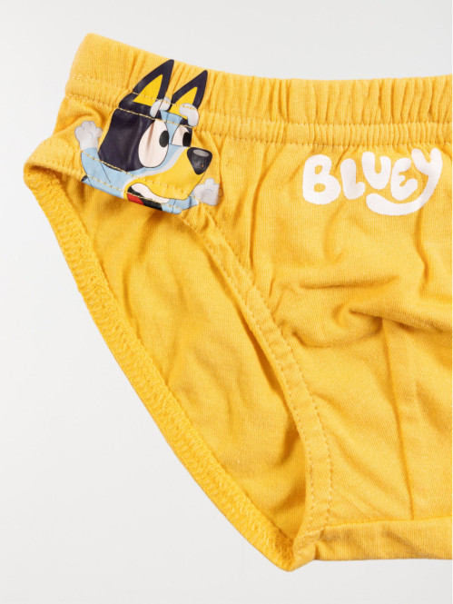 Lot de 3 slips Bluey garçon Lot de 3 slips Bluey garçon
