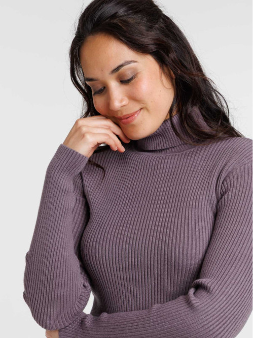 Pull col roulé excalibur femme