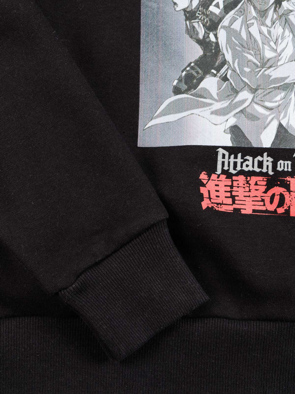 Sweat Attaque des Titans garçon (XXS-M) Sweat Attaque des Titans garçon (XXS-M)