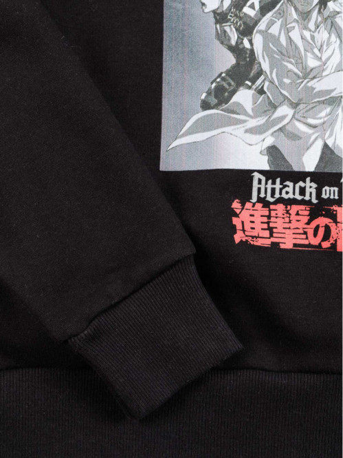 Sweat Attaque des Titans garçon (XXS-M) Sweat Attaque des Titans garçon (XXS-M)