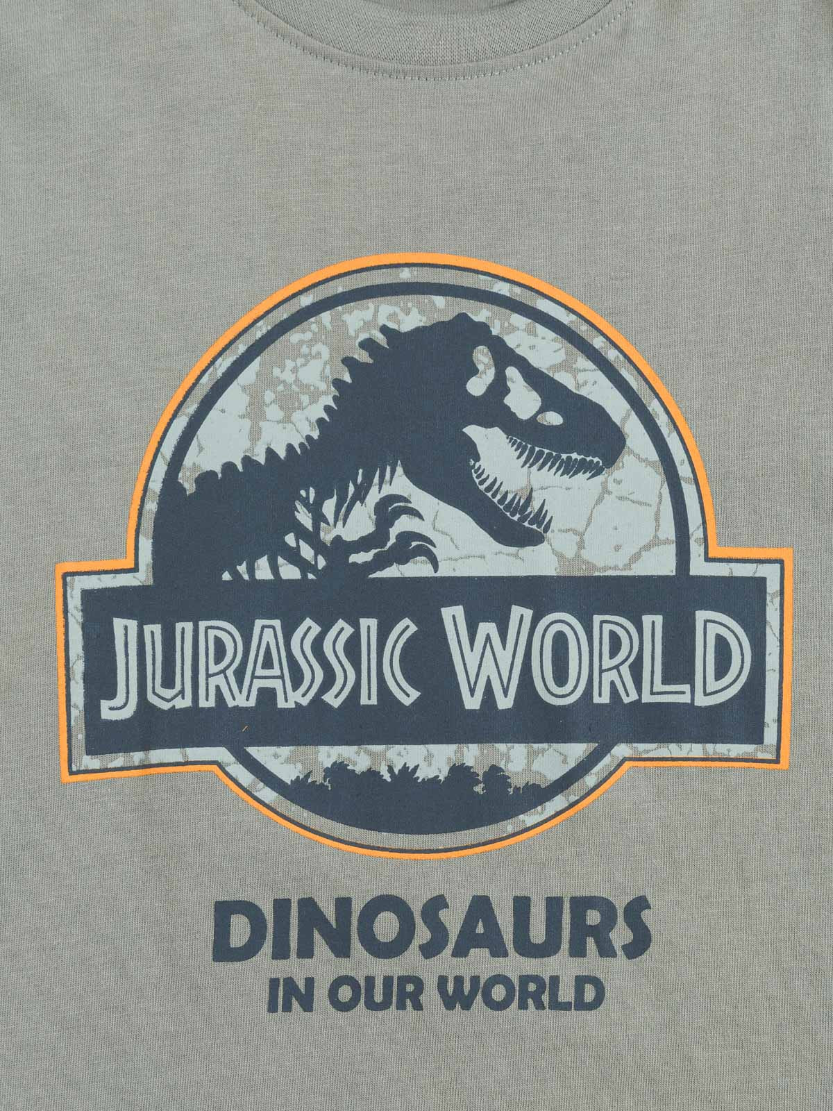 Tee-shirt garçon Jurassic World (3-12A) Tee-shirt garçon Jurassic World (3-12A)