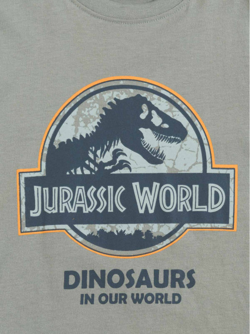 Tee-shirt garçon Jurassic World (3-12A) Tee-shirt garçon Jurassic World (3-12A)
