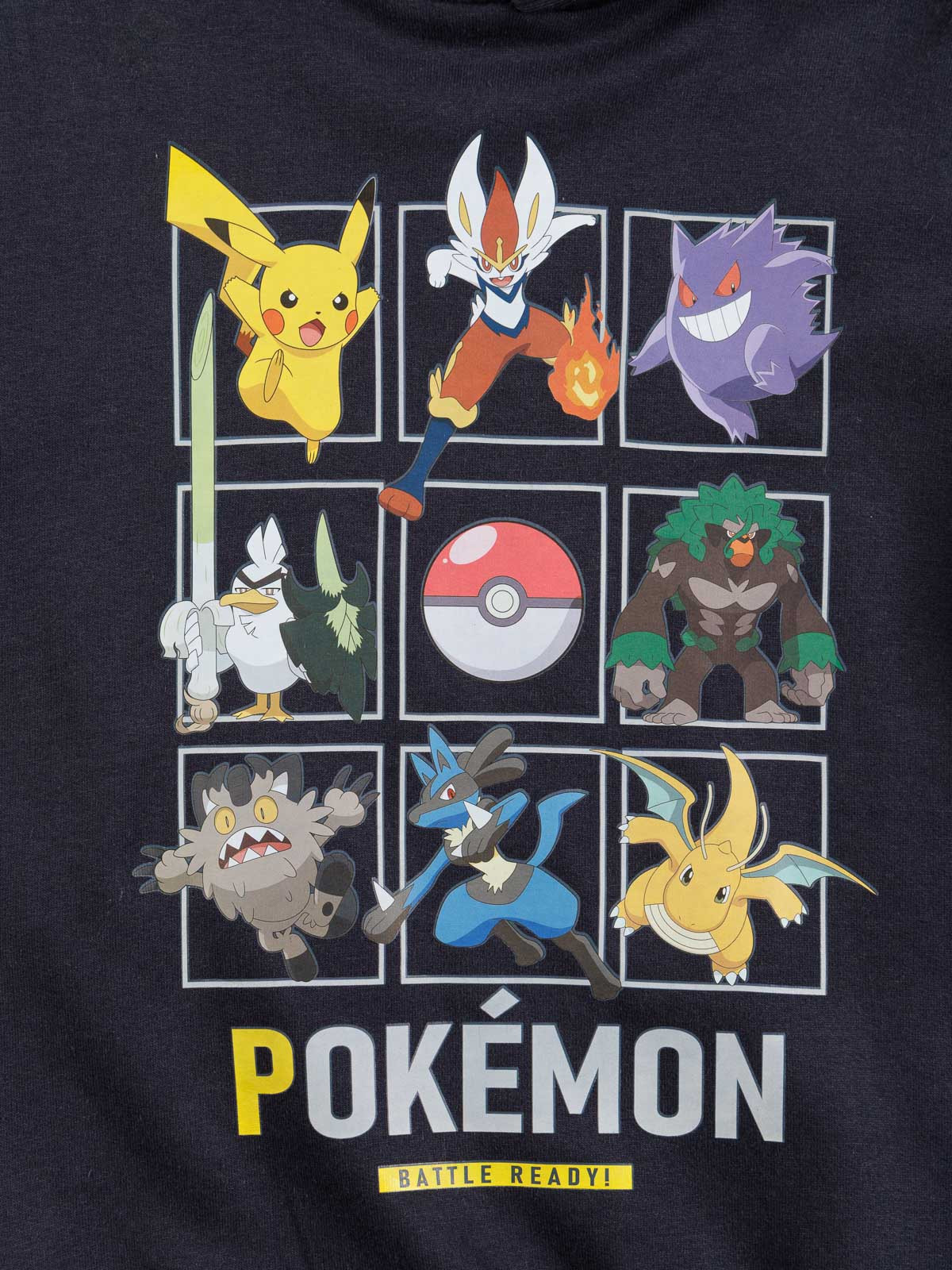 Sweat capuche Pokémon garçon (3-12A)