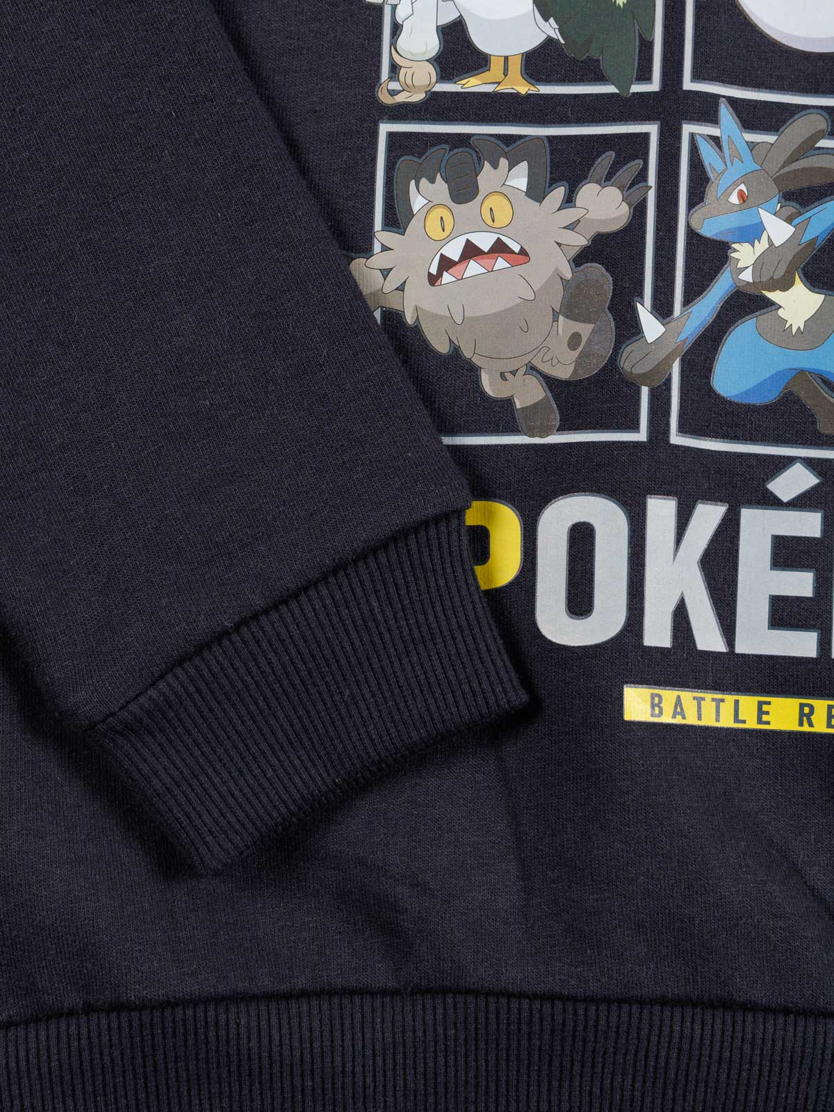 Sweat capuche Pokémon garçon (3-12A)