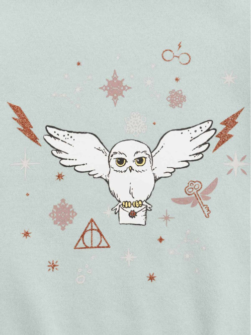 Sweat Hedwige Harry Potter fille (3-12A)