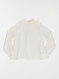 Image produit Couleur: coquille