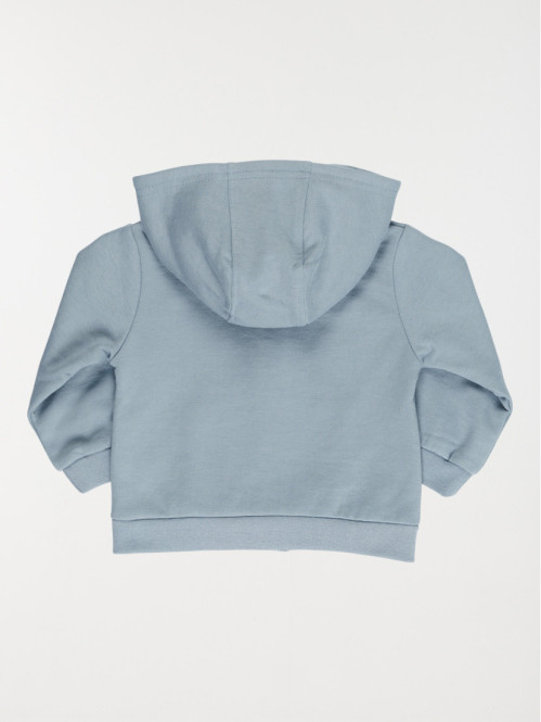 Sweat capuche garçon (6-36M)