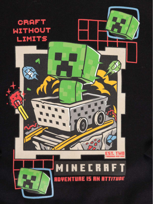 Sweat capuche Minecraft garçon (3-12A)
