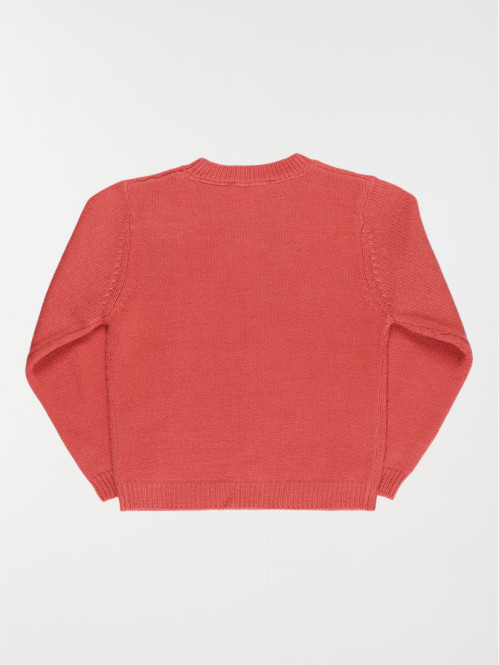 Pull broderies fleurs fille...