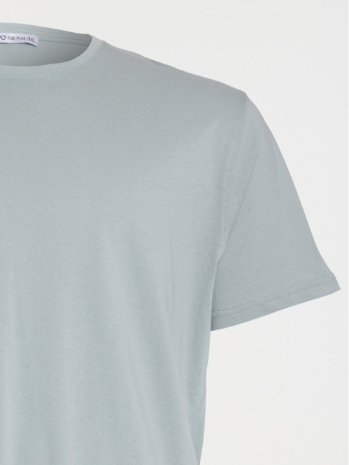 T-shirt homme grande taille bleu argenté