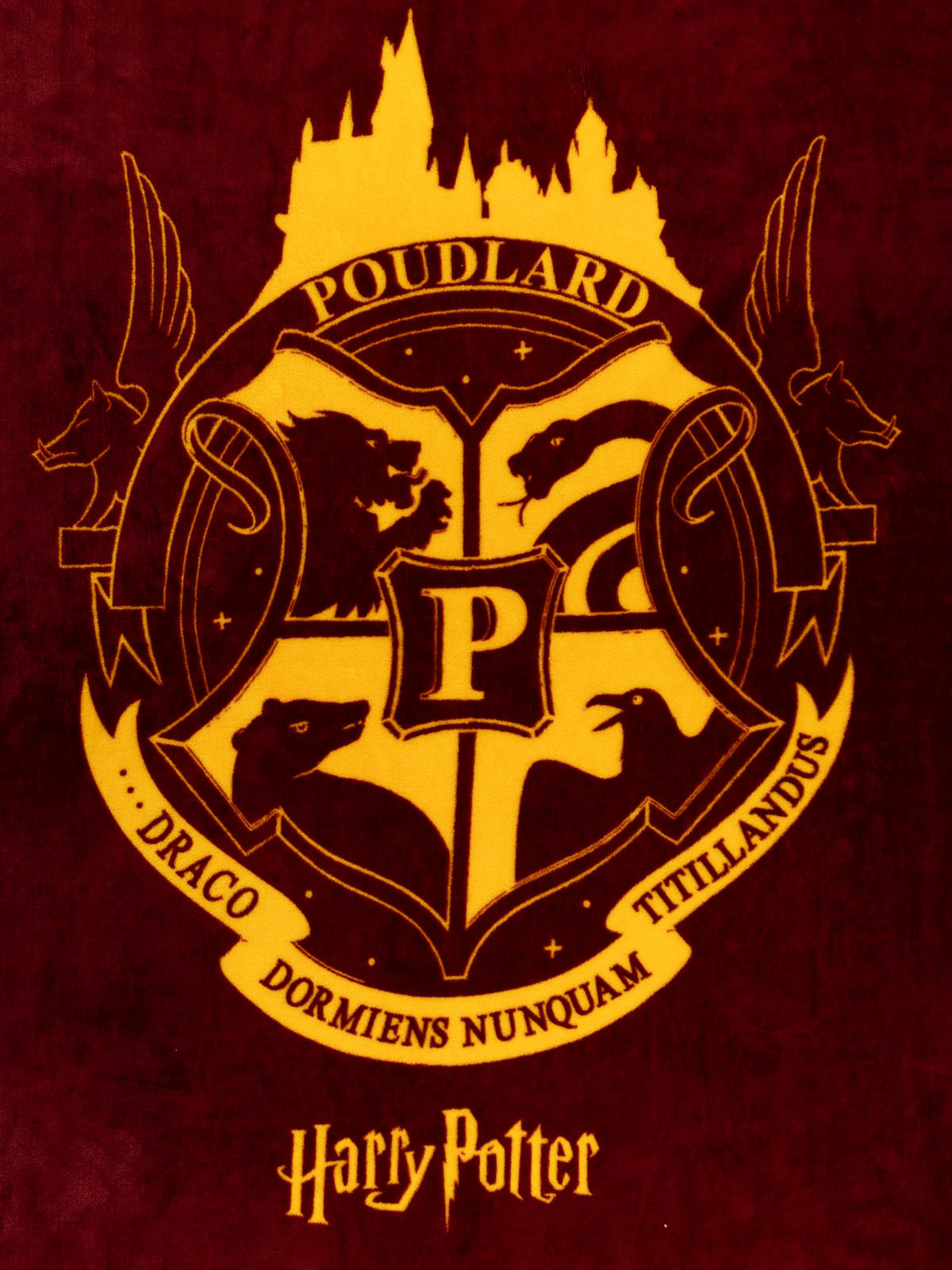 Plaid polaire 130x160 cm Harry Potter