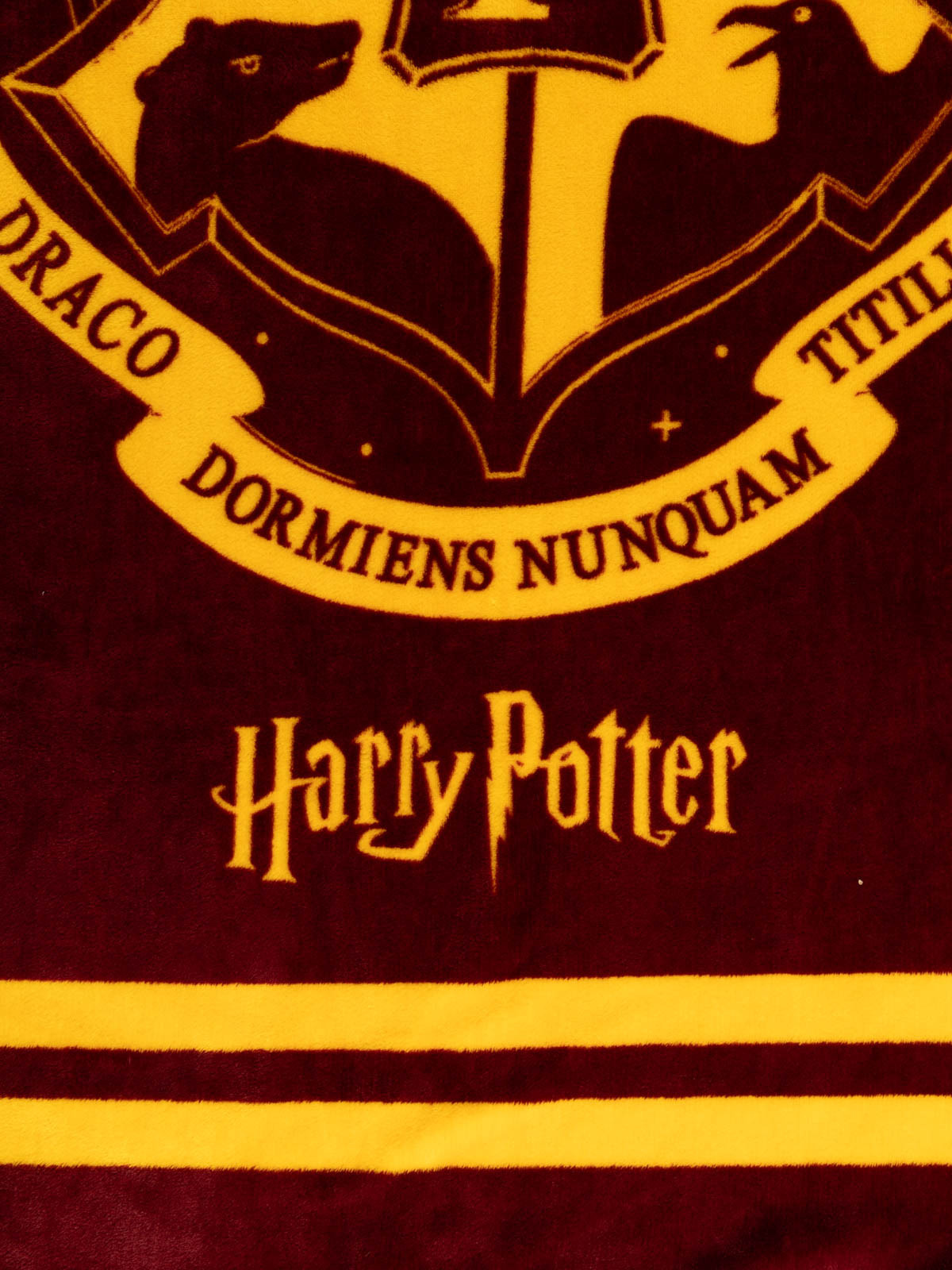 Plaid polaire 130x160 cm Harry Potter
