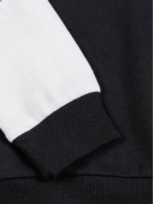 Sweat à capuche tricolore...