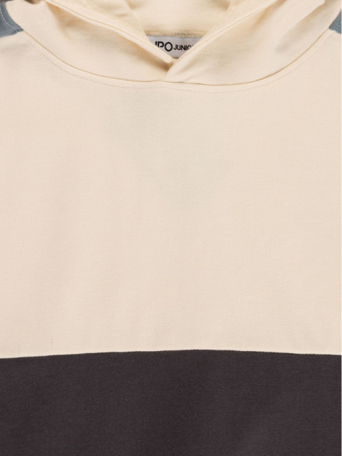 Sweat à capuche tricolore...