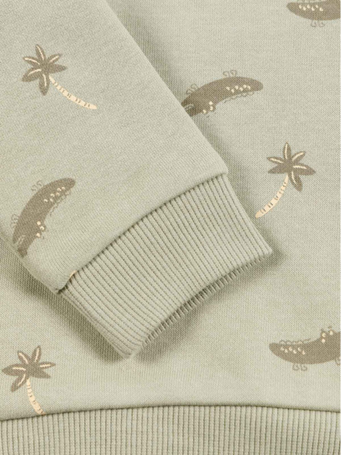 Sweat crocodile garçon (3-36M)