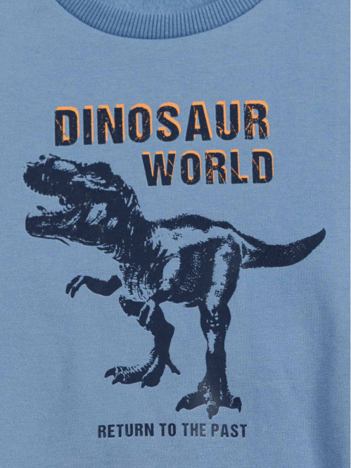 Sweat dinosaure garçon (3-12A) Sweat dinosaure garçon (3-12A)