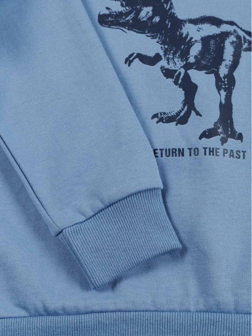 Sweat dinosaure garçon (3-12A) Sweat dinosaure garçon (3-12A)