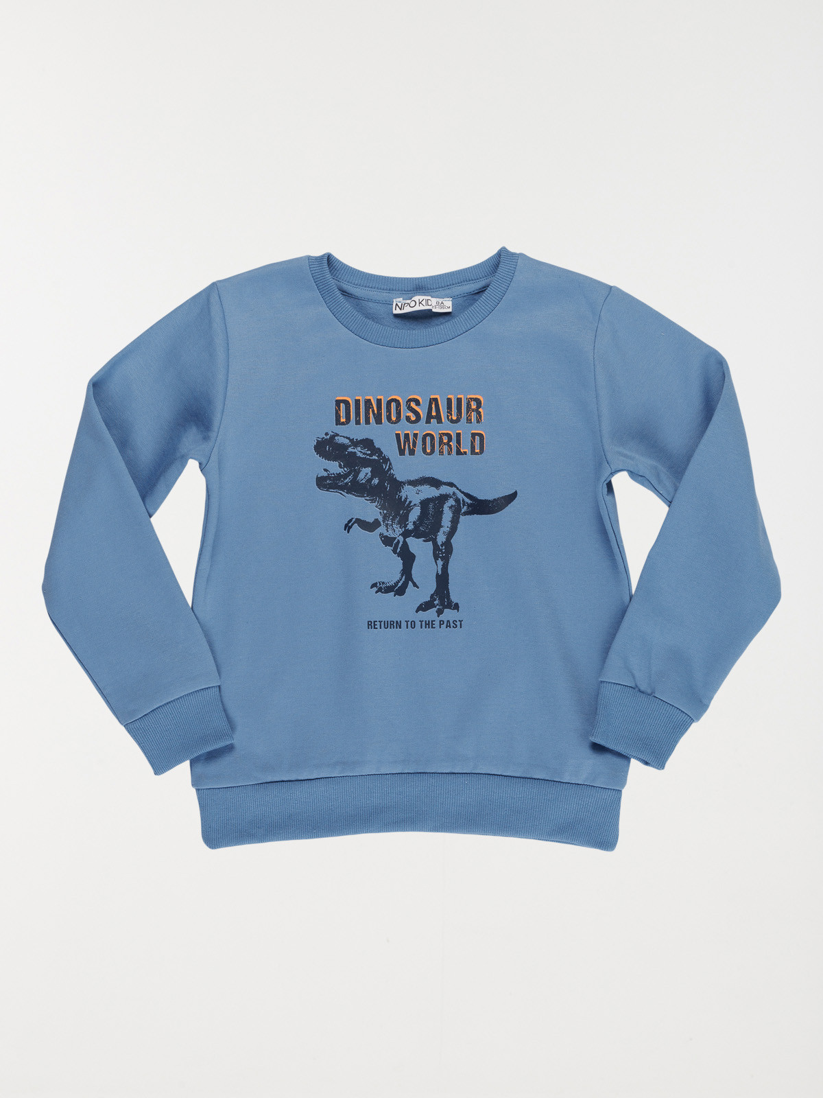 Sweat dinosaure garçon (3-12A)