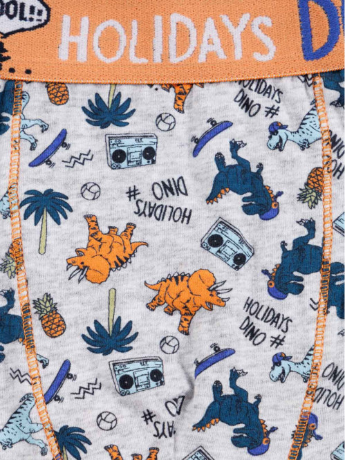 Lot de 3 boxers dinosaures...