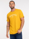 Image produit Couleur: Curcuma