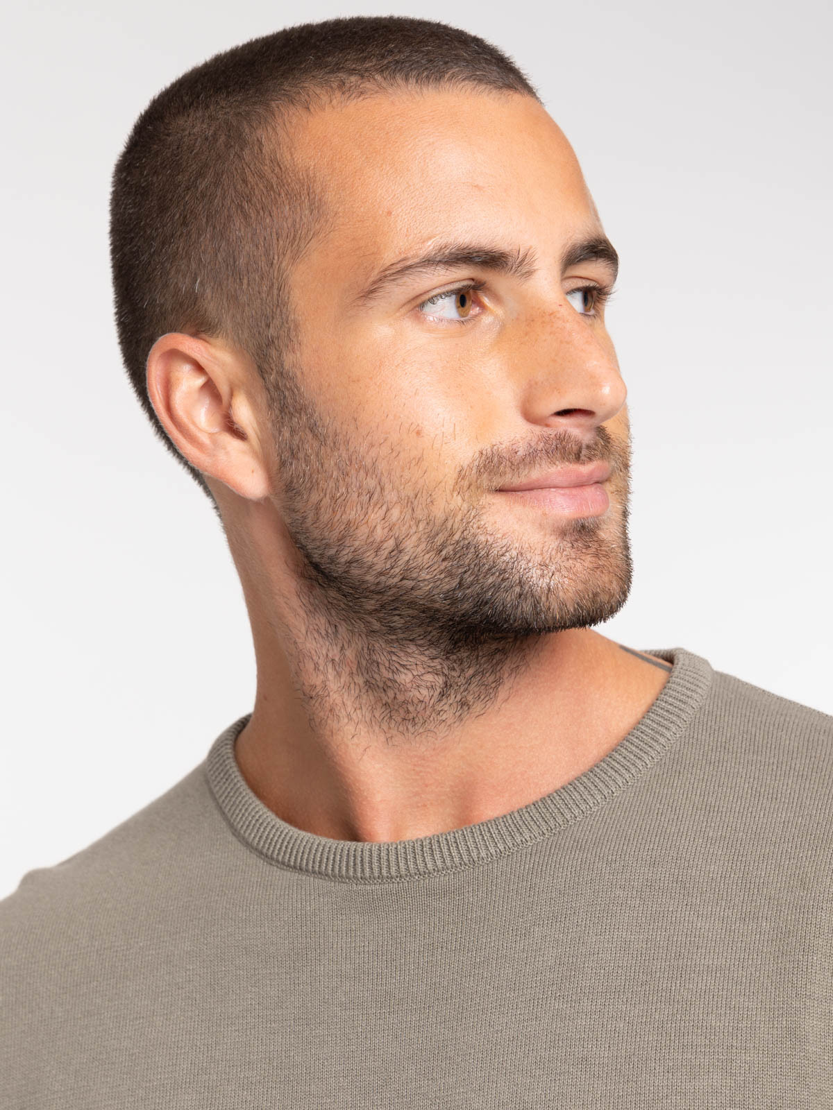 Pull col rond tilleul homme