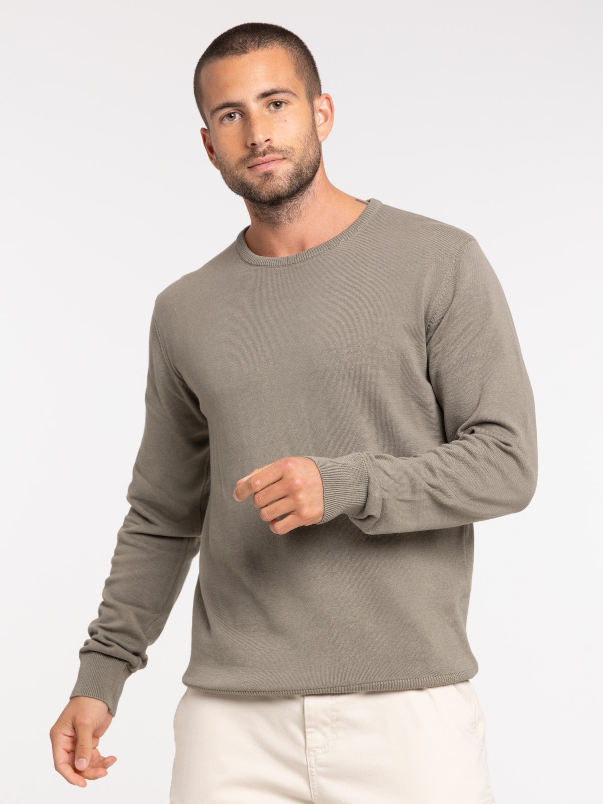 Pull col rond tilleul homme