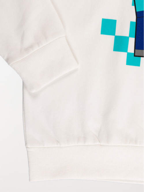 Sweat à capuche Minecraft...