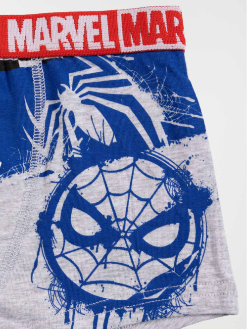 Lot de 2 boxers Spiderman...