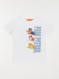 Image produit Couleur: ardoise clair