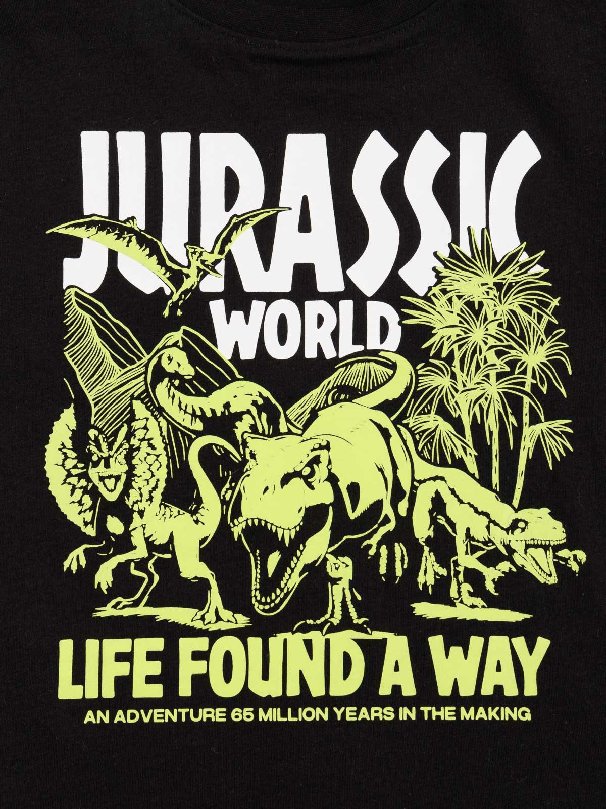 Tee-shirt garçon Jurassic World (3-12A) Tee-shirt garçon Jurassic World (3-12A)