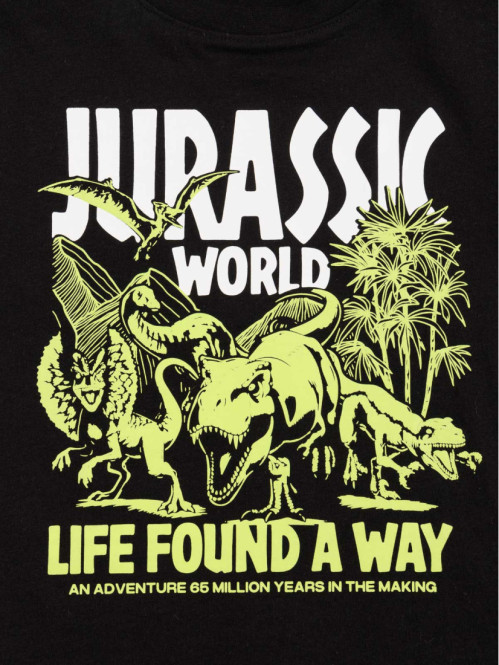 Tee-shirt garçon Jurassic...