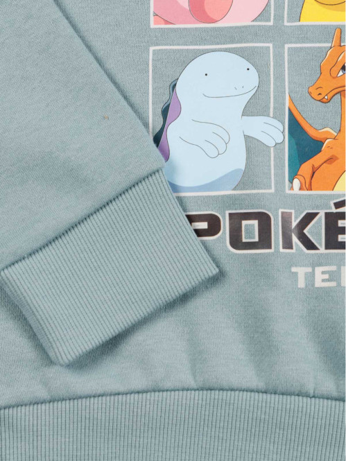 Sweat capuche Pokémon...
