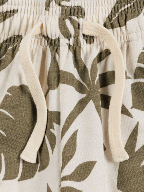 Bermuda motif tropical...