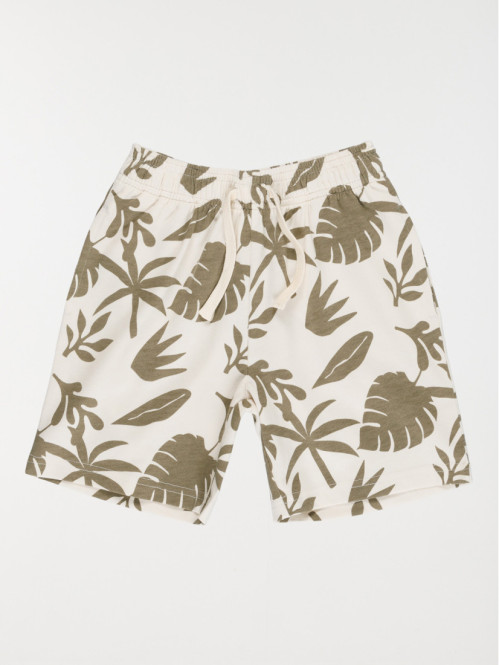Bermuda motif tropical...