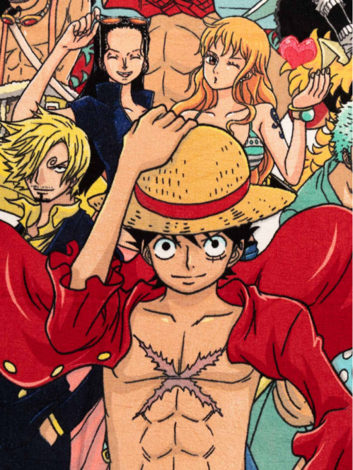 Drap de plage 90 X 170 cm...