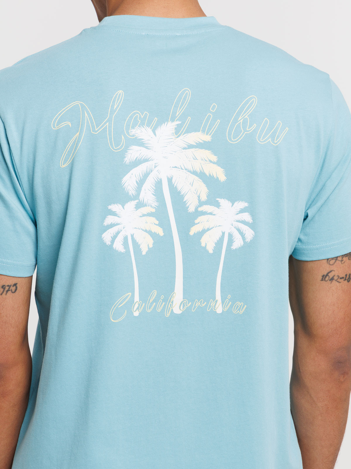 Tee-shirt imprimé dos homme