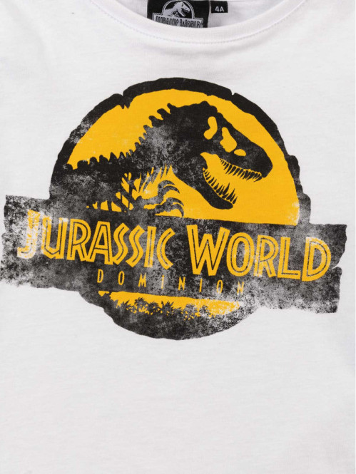 T-shirt Jurassic World garçon (3-8A)