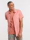 Image produit Couleur: rose sauvage