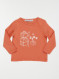 Image produit Couleur: orange sienne