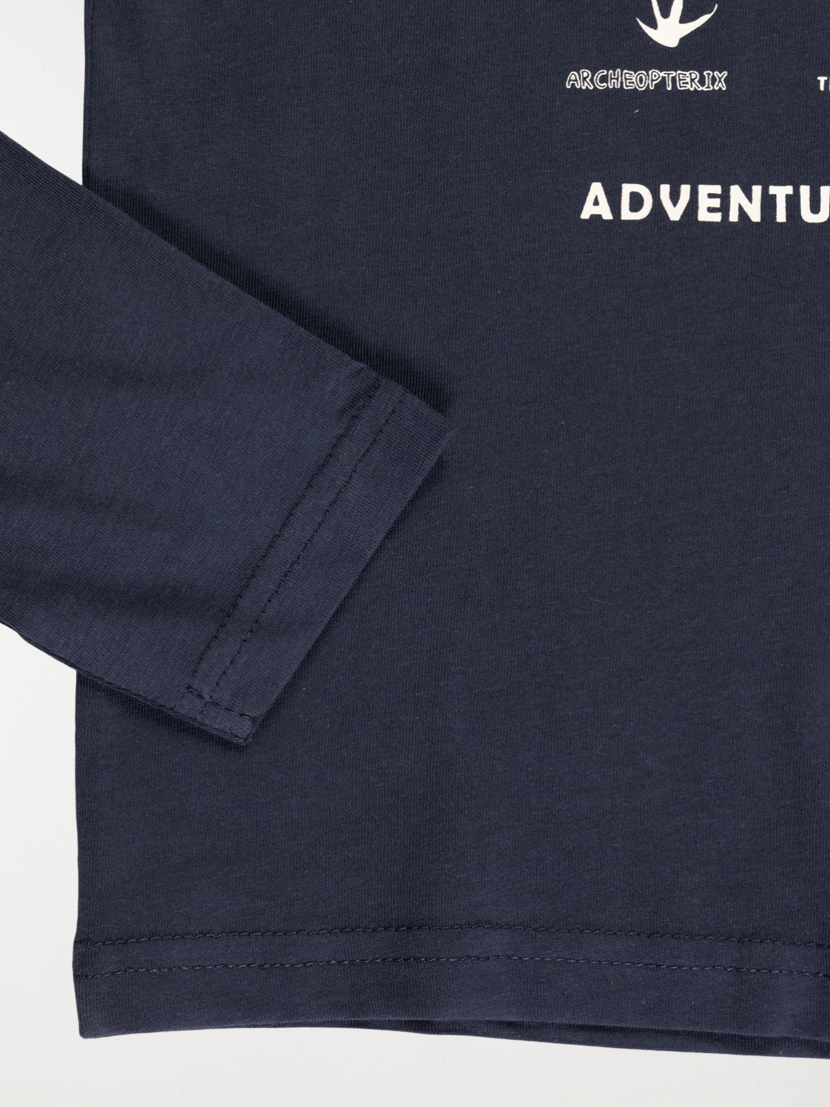 T-shirt dinosaures garçon (3-12A) T-shirt dinosaures garçon (3-12A)