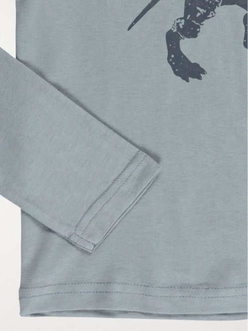 T-shirt T-rex garçon (3-12A)