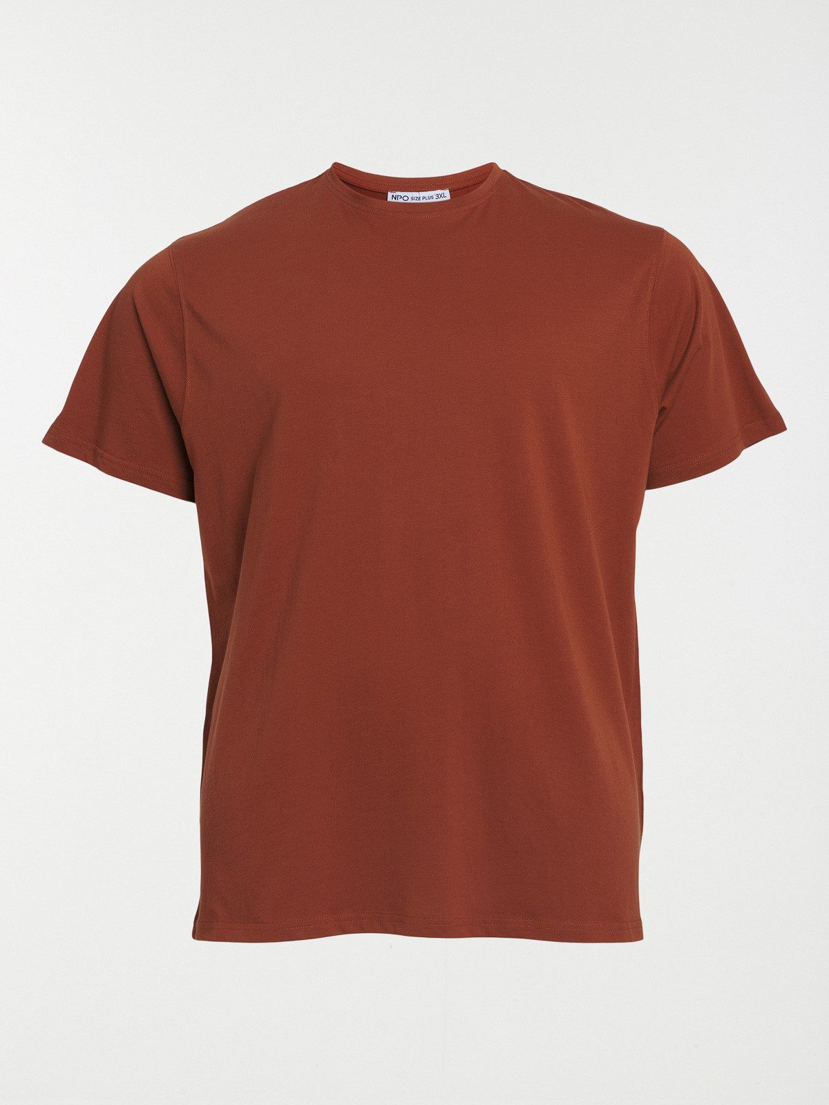 T-shirt sequoïa grande taille homme