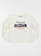 Image produit Couleur: coquille