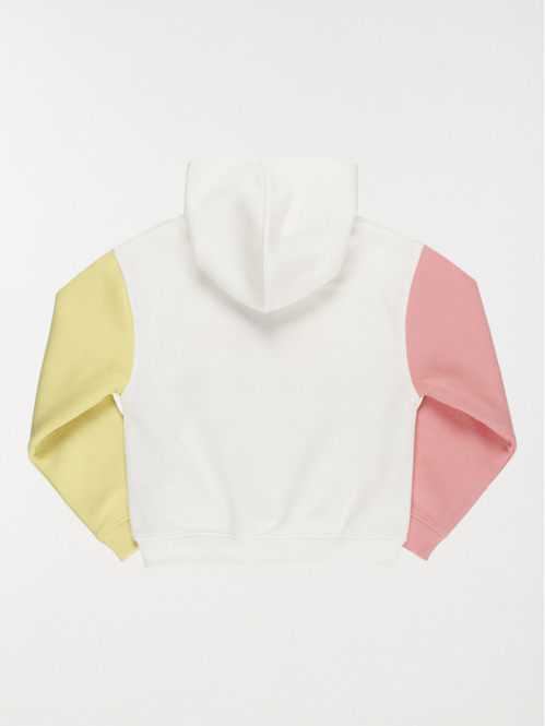 Sweat capuche tricolore...