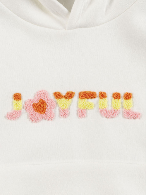 Sweat capuche tricolore...