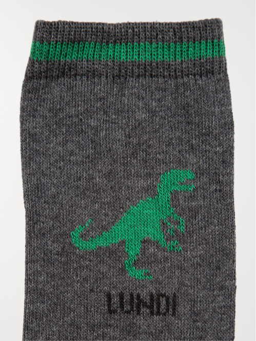 Lot de chaussettes 7 jours garçon Lot de chaussettes 7 jours garçon