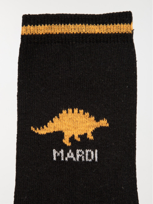 Lot de chaussettes 7 jours garçon Lot de chaussettes 7 jours garçon