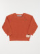 Image produit Couleur: orange sienne